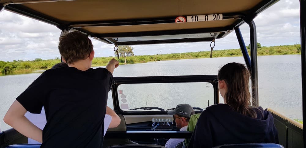 conduire dans le parc Kruger en Afrique du Sud