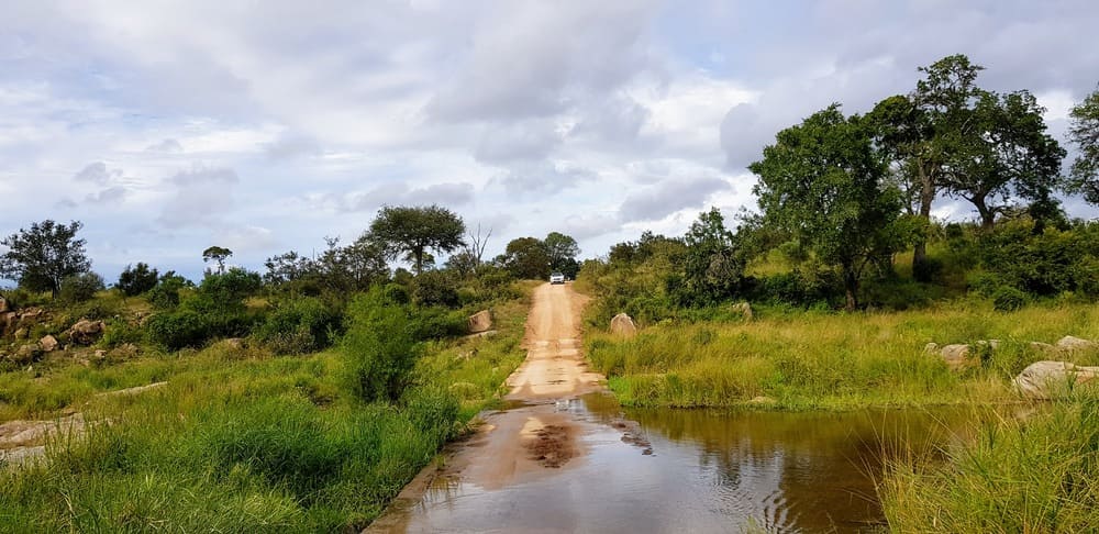 Une journée safari dans le parc Kruger avec un guide - Afrique du Sud