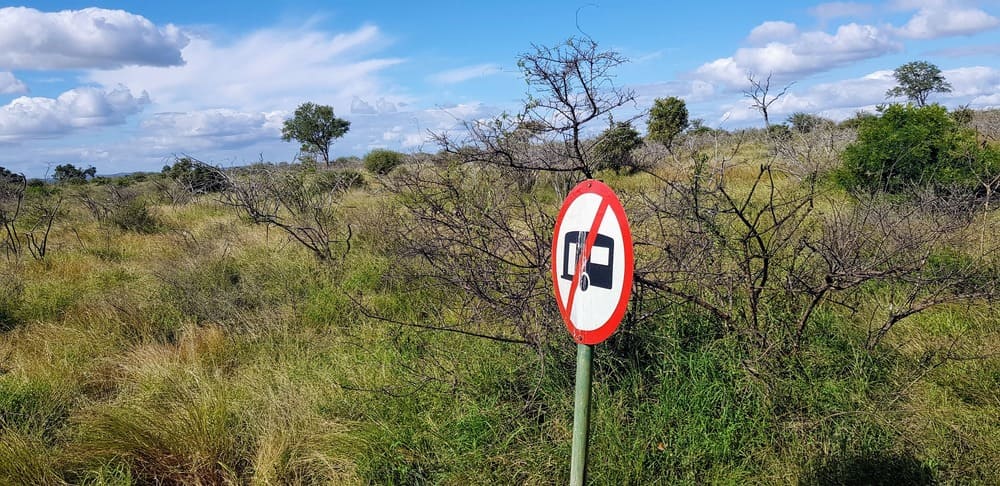 Une journée safari dans le parc Kruger avec un guide - Afrique du Sud