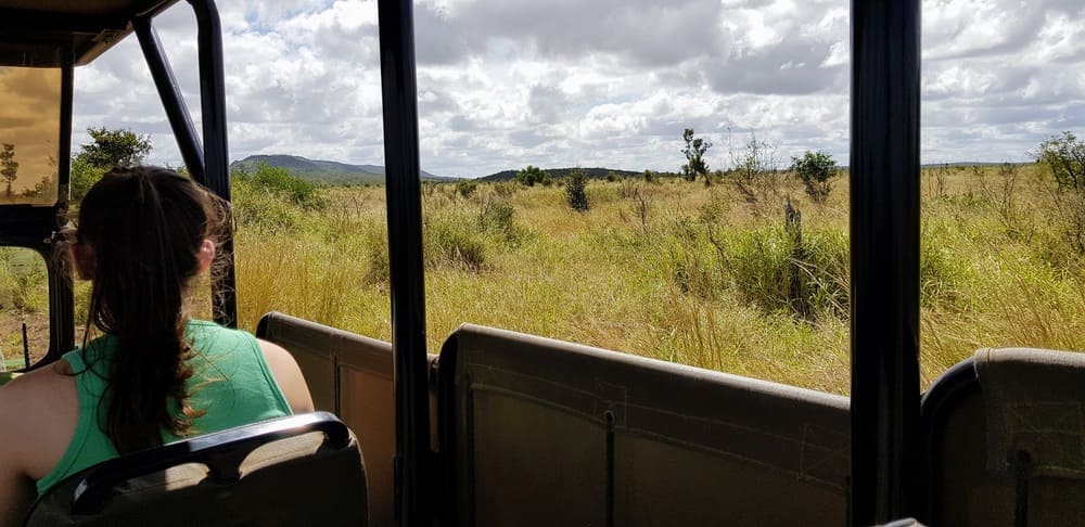 Une journée safari dans le parc Kruger avec un guide - Afrique du Sud