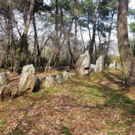La Trinité sur Mer : alignements de mégalithes du Petit Ménec / Mégalithes Morbihan