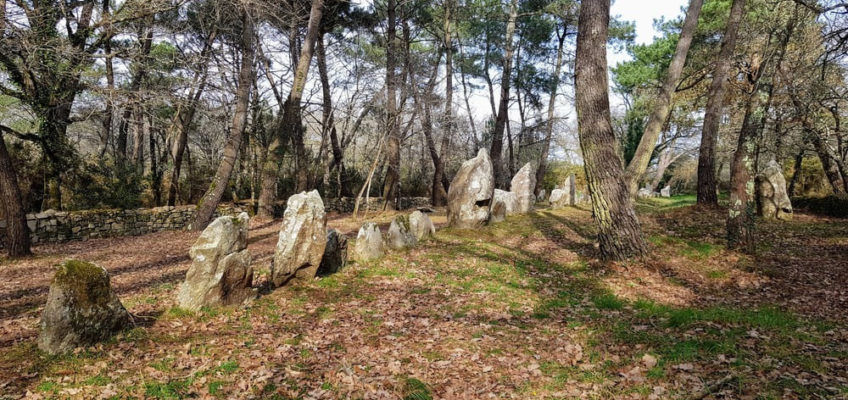 La Trinité sur Mer : alignements de mégalithes du Petit Ménec / Mégalithes Morbihan