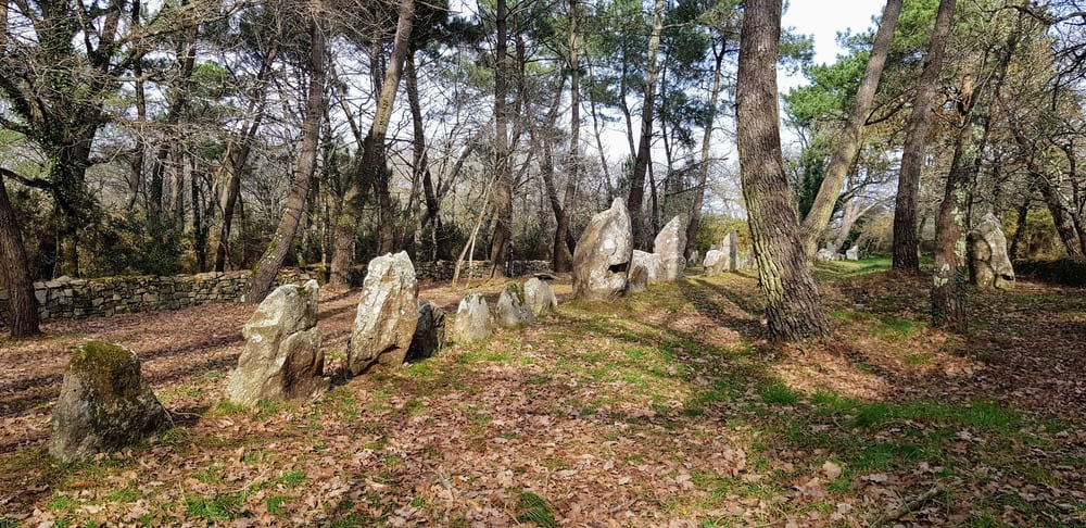 La Trinité sur Mer : alignements de mégalithes du Petit Ménec / Mégalithes Morbihan