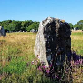Mégalithes à Carnac / Mégalithes Morbihan