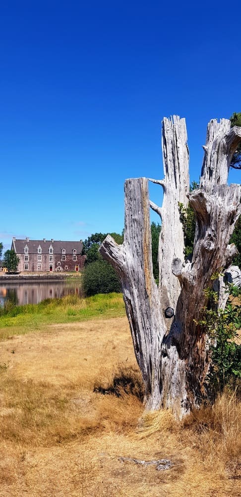 Château de Comper, Centre de l'imaginaire arthurien