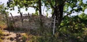 Réserve naturelle des Marais de Séné - Morbihan : sentier gratuit