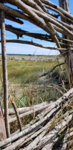 Réserve naturelle des Marais de Séné - Morbihan : sentier gratuit