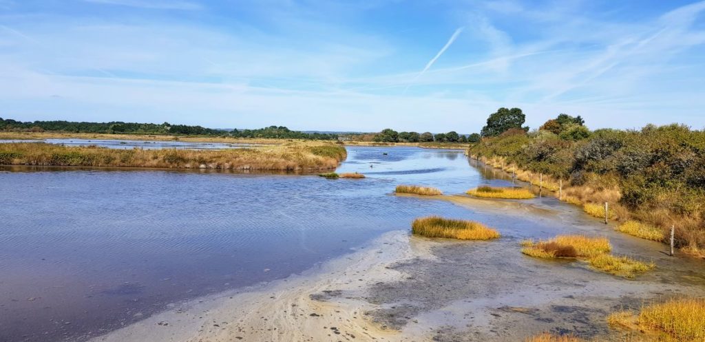 Réserve naturelle des Marais de Séné - Morbihan