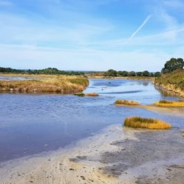 Réserve naturelle des Marais de Séné - Morbihan
