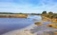 Réserve naturelle des Marais de Séné - Morbihan
