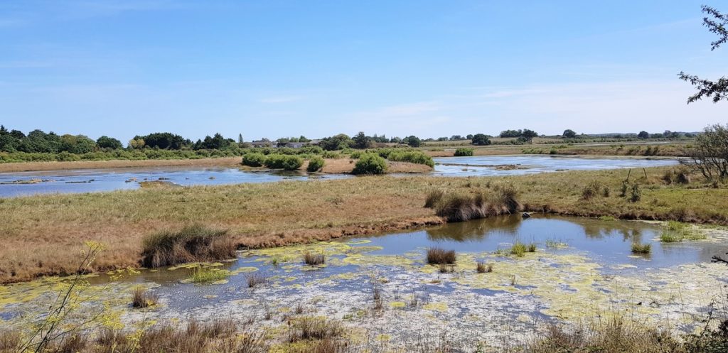 Marais de Séné  RESERVES NATURELLES DE FRANCE