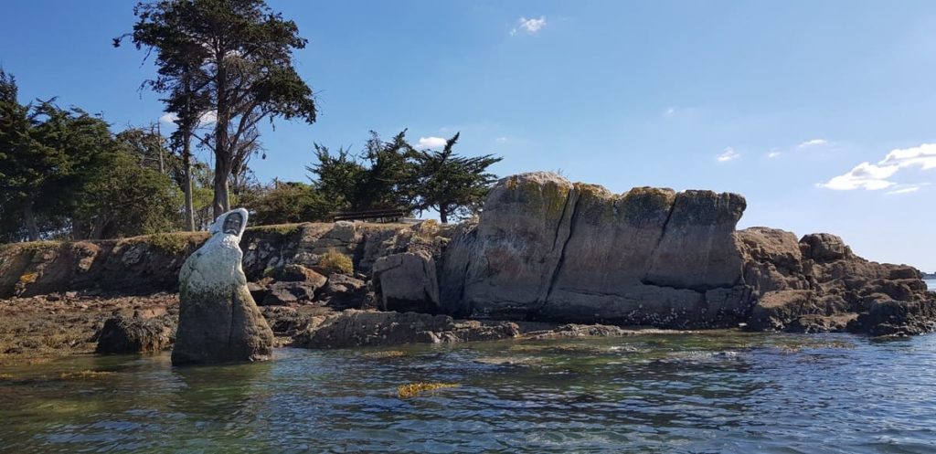 Kayak dans le Golfe du Morbihan : moine blanc à Boedic