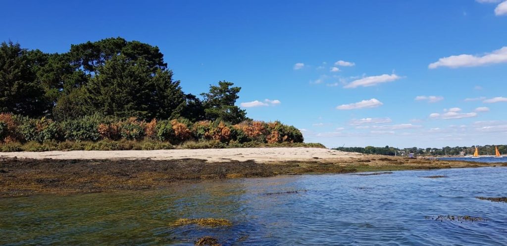 Kayak dans le Golfe du Morbihan