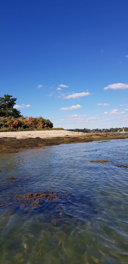 Kayak dans le Golfe du Morbihan