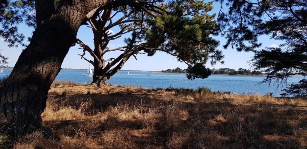 Kayak dans le Golfe du Morbihan : vue depuis la Grande Logoden