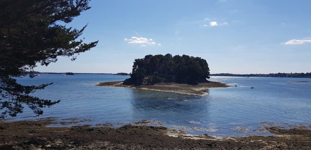 Kayak dans le Golfe du Morbihan : petite Logoden