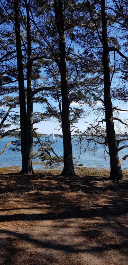 Kayak dans le Golfe du Morbihan : vue depuis la grande Logoden