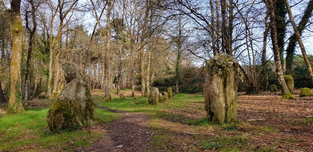 Alignements du petit Ménec - la Trinité sur mer - mégalithes du Morbihan