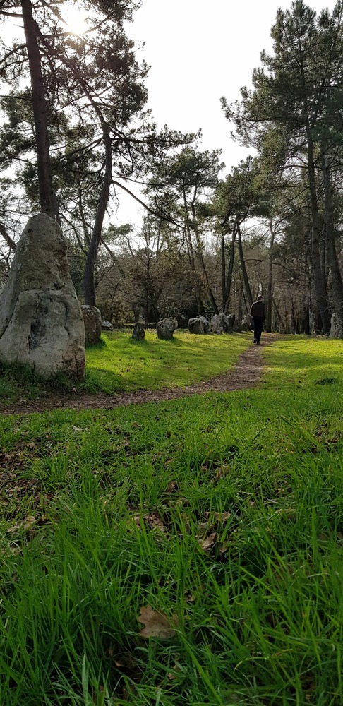 Alignements du petit Ménec - la Trinité sur mer - mégalithes du Morbihan