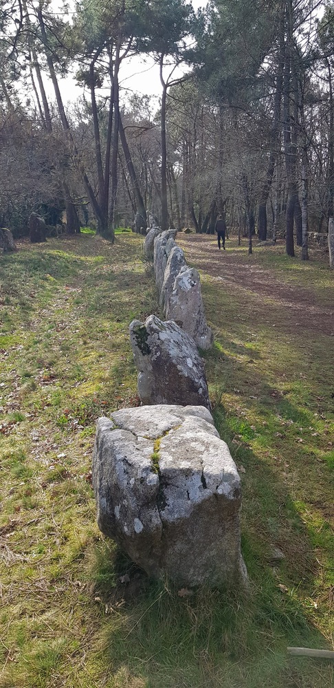 Alignements du petit Ménec - la Trinité sur mer - mégalithes du Morbihan