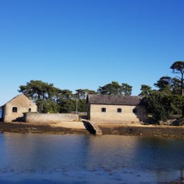 Ile Berder - Kayak dans le Golfe du Morbihan :d'Arradon à l'île Berder en passant par l'île aux Moines