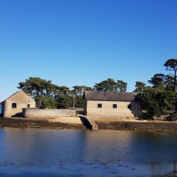 Morbihan : des petits trésors proches de Vannes