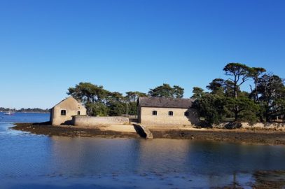 Ile Berder - Kayak dans le Golfe du Morbihan :d'Arradon à l'île Berder en passant par l'île aux Moines