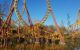Une journée au parc Astérix : Goudurix