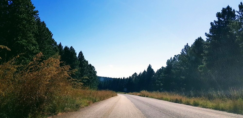 Afrique du Sud : Panoramic Road