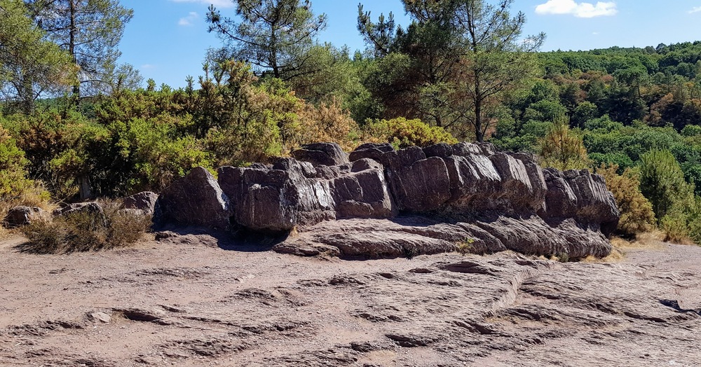 Balade en forêt de Brocéliande