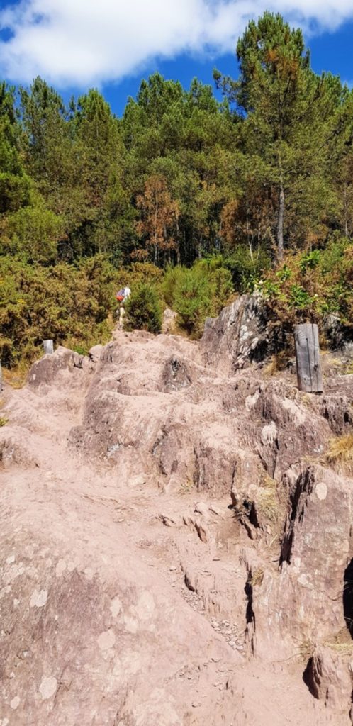 Balade en forêt de Brocéliande