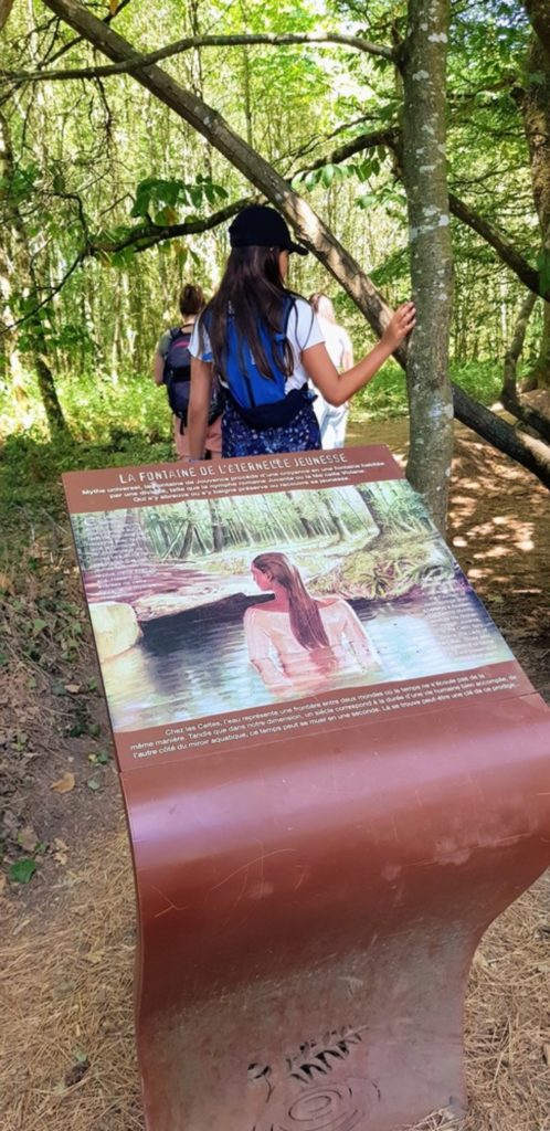 Balade en forêt de Brocéliande