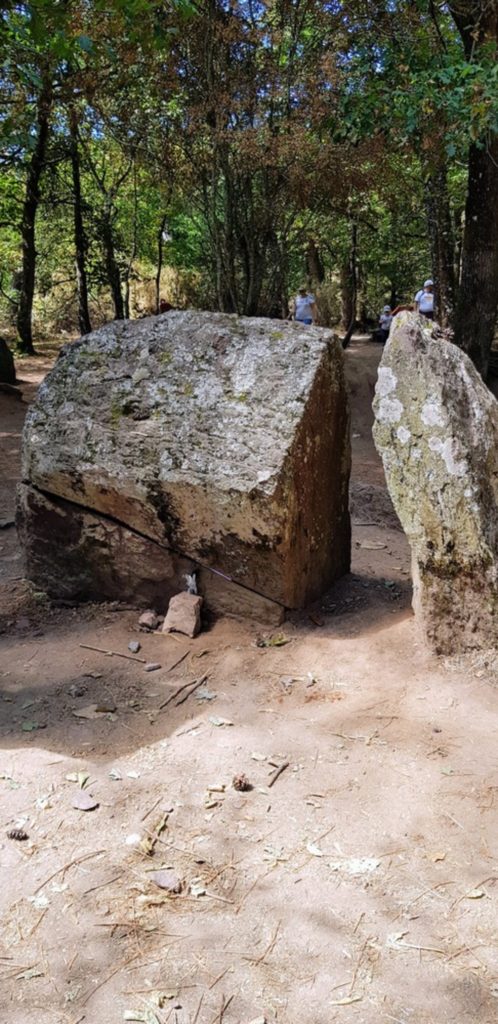 Balade en forêt de Brocéliande