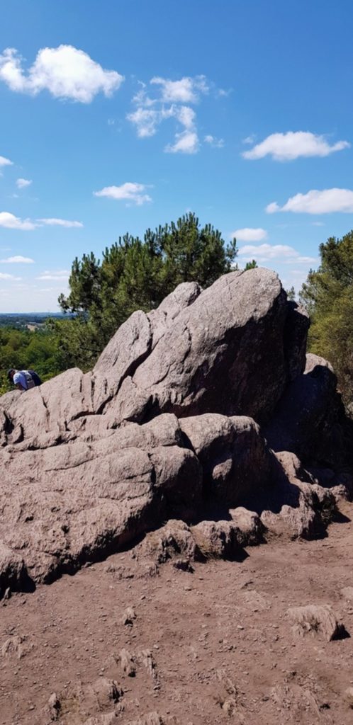 Balade en forêt de Brocéliande