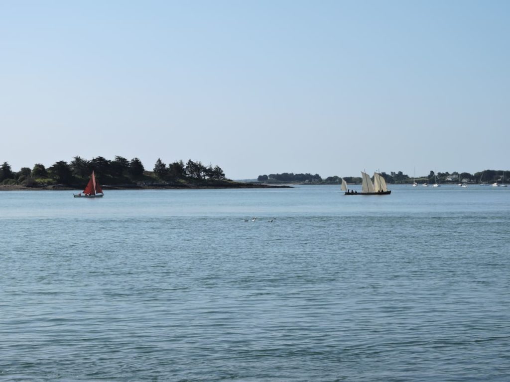 Semaine du Golfe du Morbihan 2023 depuis la Pointe d'Arradon