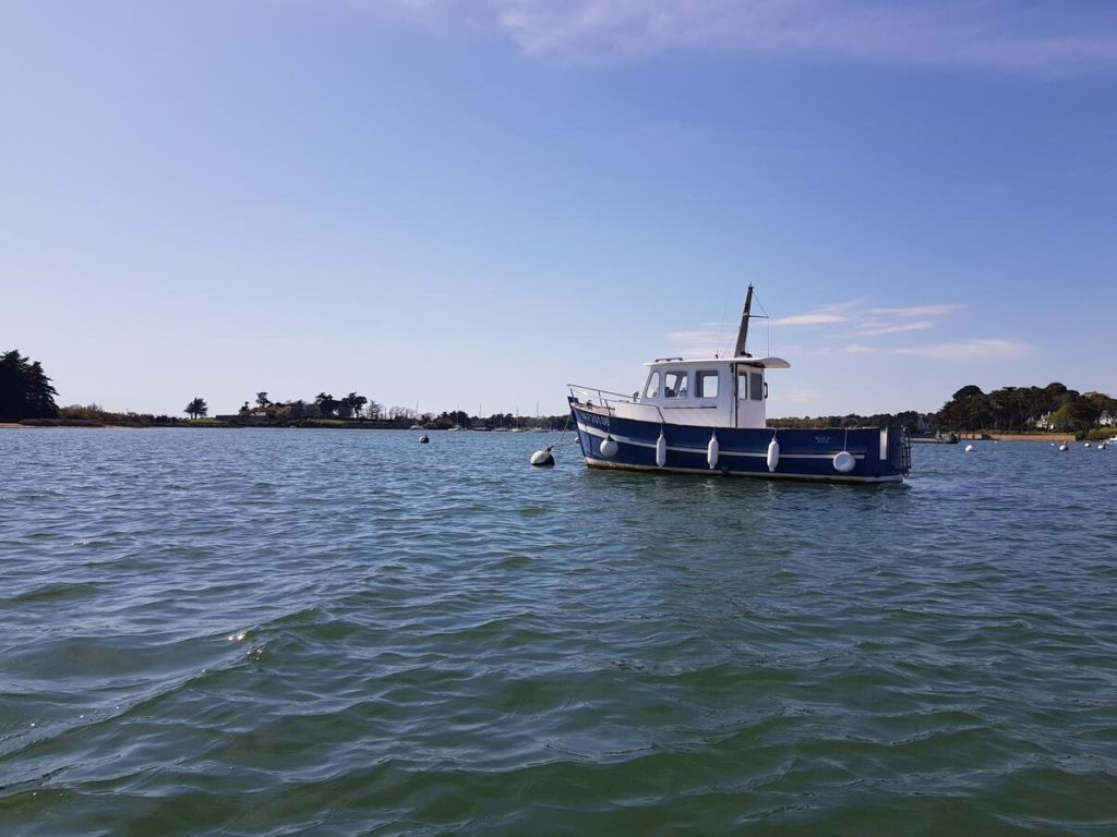 Kayak dans le Golfe du Morbihan à la découverte de l'île de Boëdic et de l'île Boëd