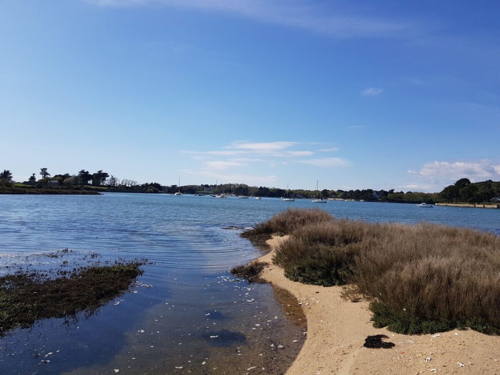 Kayak dans le Golfe du Morbihan à la découverte de l'île de Boëdic et de l'île Boëd