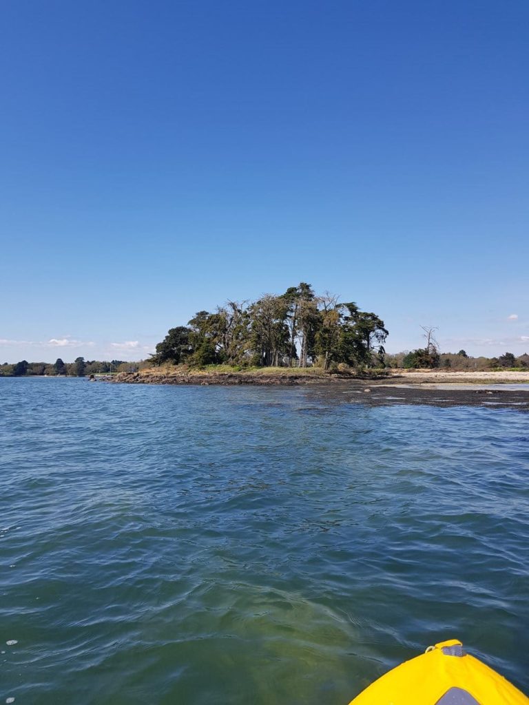 Kayak dans le Golfe du Morbihan à la découverte de l'île de Boëdic et de l'île Boëd