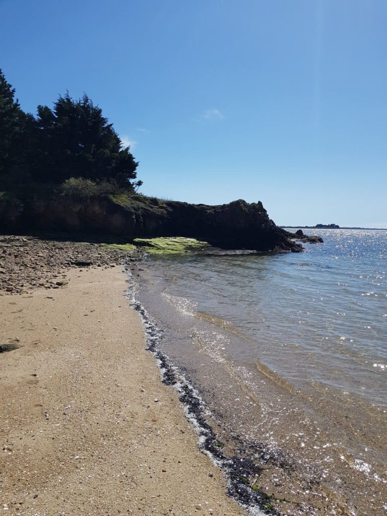 Kayak dans le Golfe du Morbihan à la découverte de l'île de Boëdic et de l'île Boëd