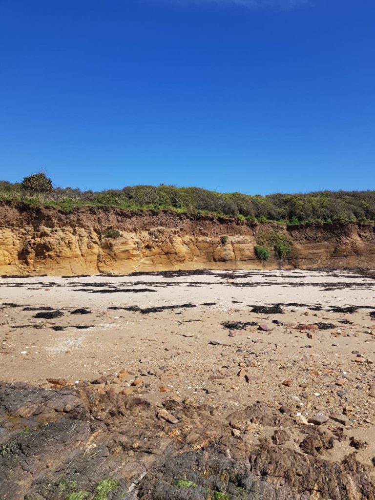 Kayak dans le Golfe du Morbihan à la découverte de l'île de Boëdic et de l'île Boëd