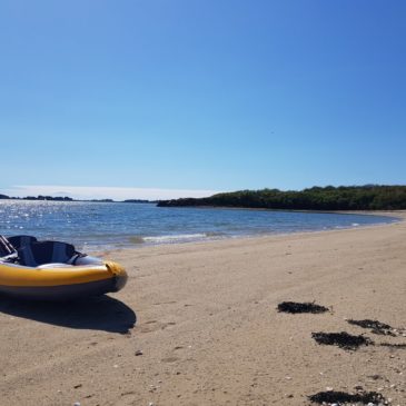 Golfe du Morbihan : randonnée en kayak autour de l’île de Boëdic et de l’île de Boëd