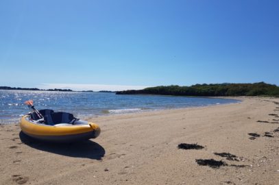 Kayak dans le Golfe du Morbihan à la découverte de l'île de Boëdic et de l'île Boëd