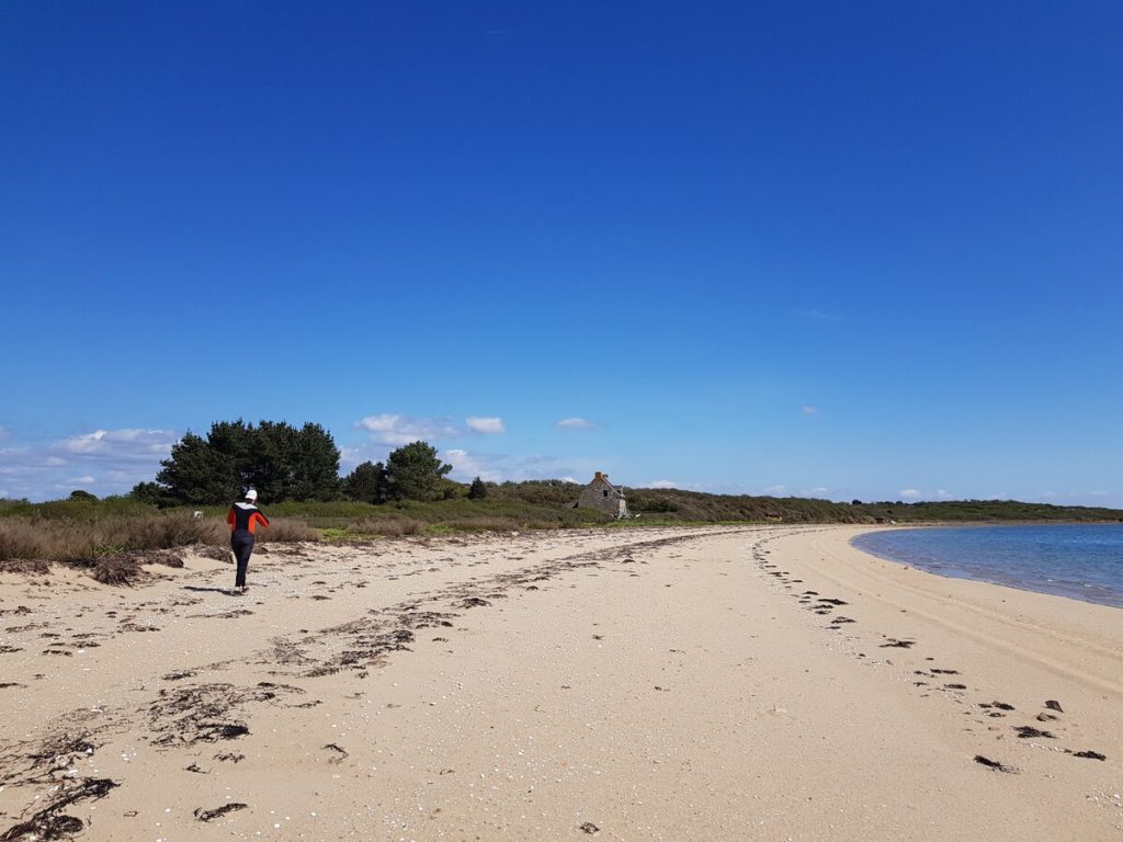 Kayak dans le Golfe du Morbihan à la découverte de l'île de Boëdic et de l'île Boëd