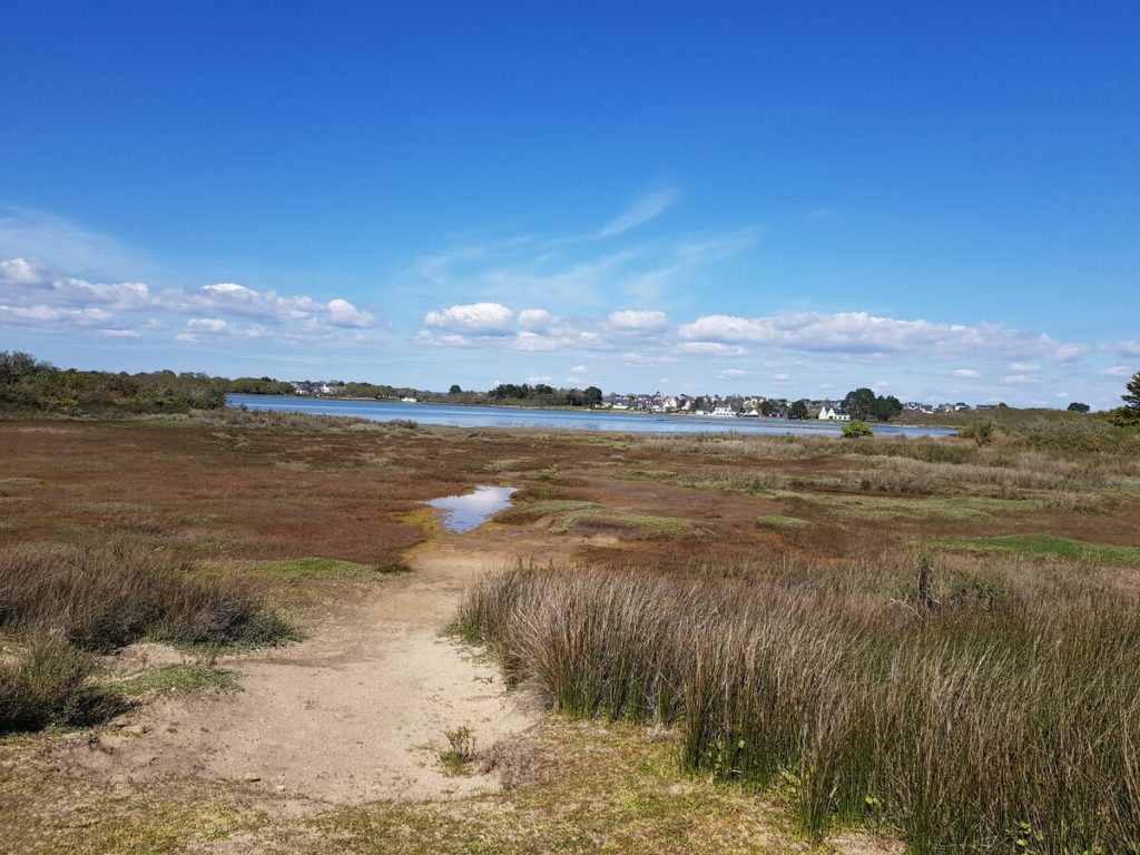 Kayak dans le Golfe du Morbihan à la découverte de l'île de Boëdic et de l'île Boëd