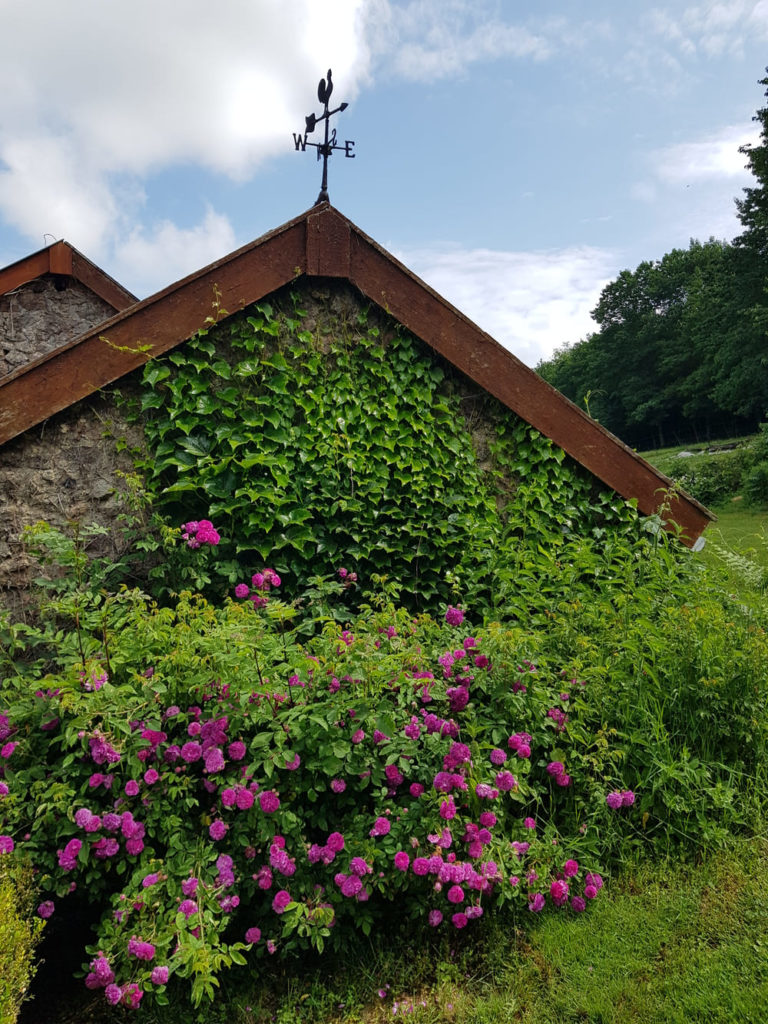 Week-end au lac de Vassivière : gîte