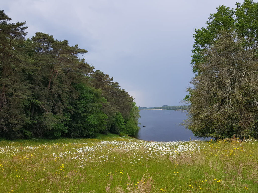 Week-end au lac de Vassivière : l'île du lac