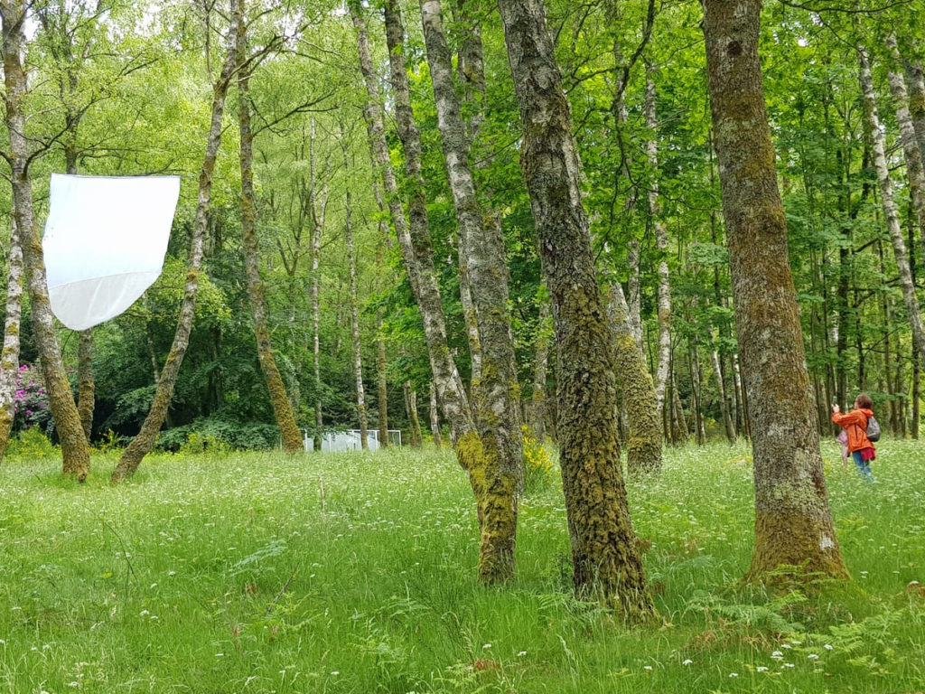 Week-end au lac de Vassivière : l'île du lac