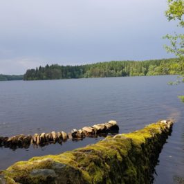 Week-end au lac de Vassivière : l'île du lac