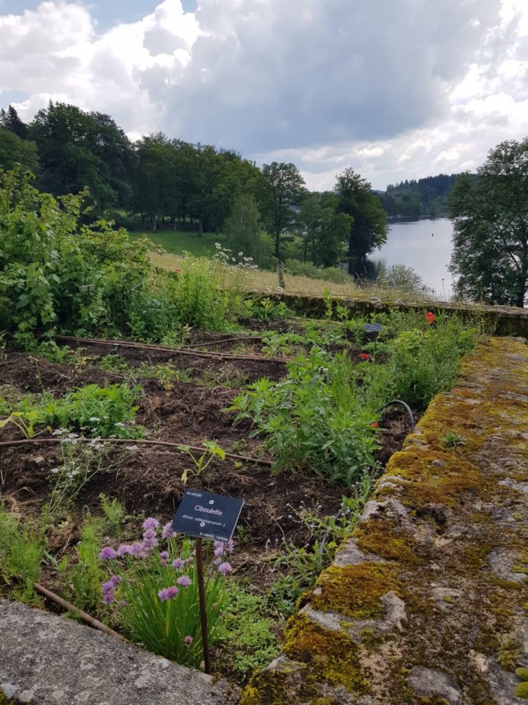 Week-end au lac de Vassivière : l'île du lac