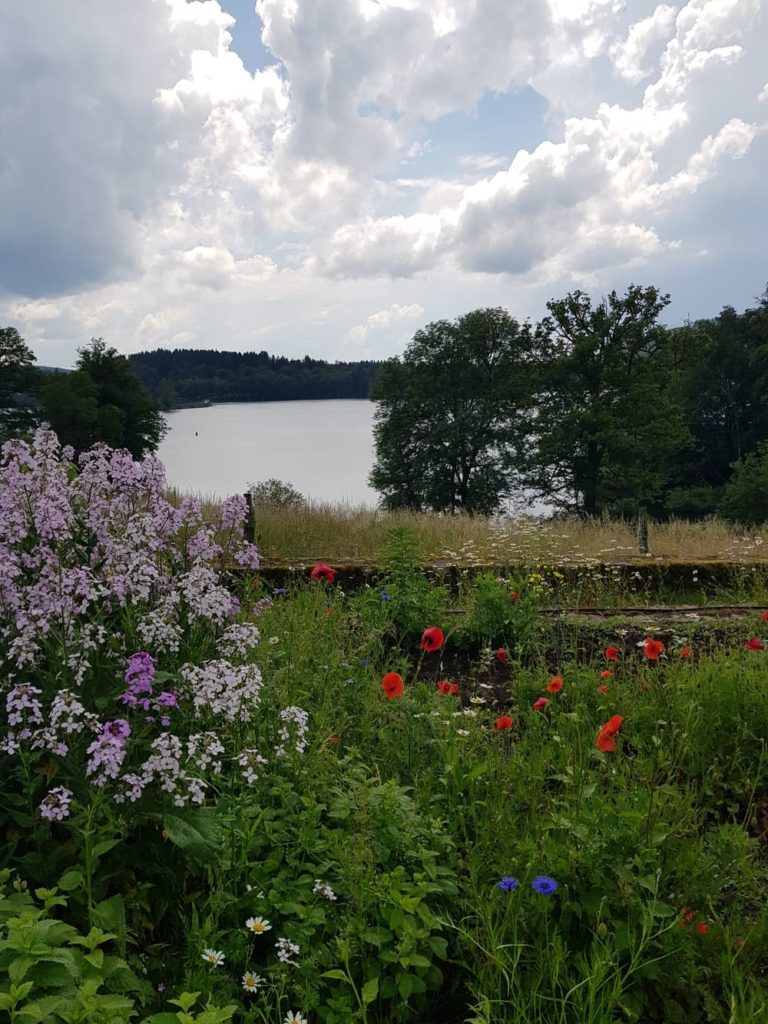 Week-end au lac de Vassivière : l'île du lac